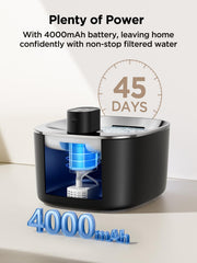 FEELNEEDY stainless steel drinking tray highlights hygienic drinking surface in the fountain.