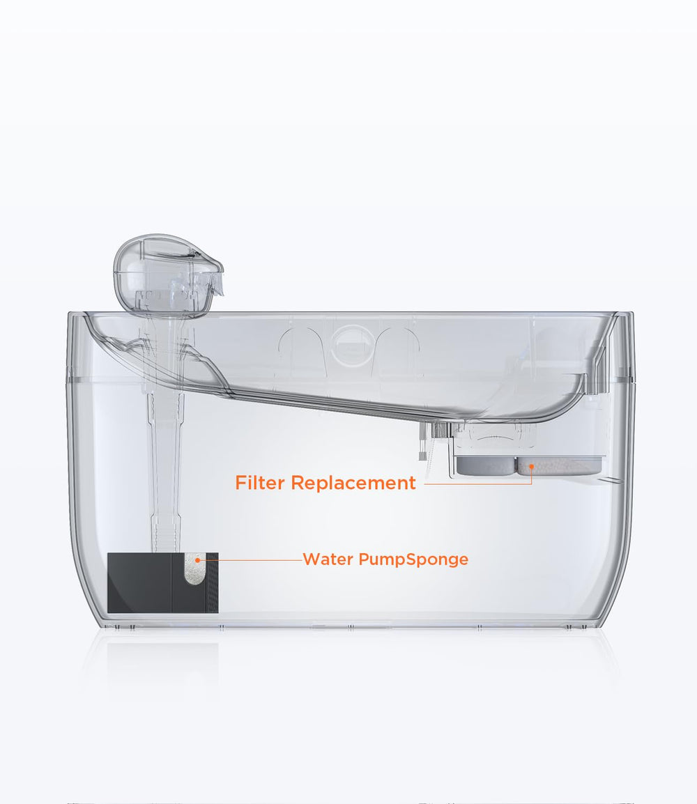 FEELNEEDY FN-W05 dog water fountain 7L provides steady hydration for active pets.