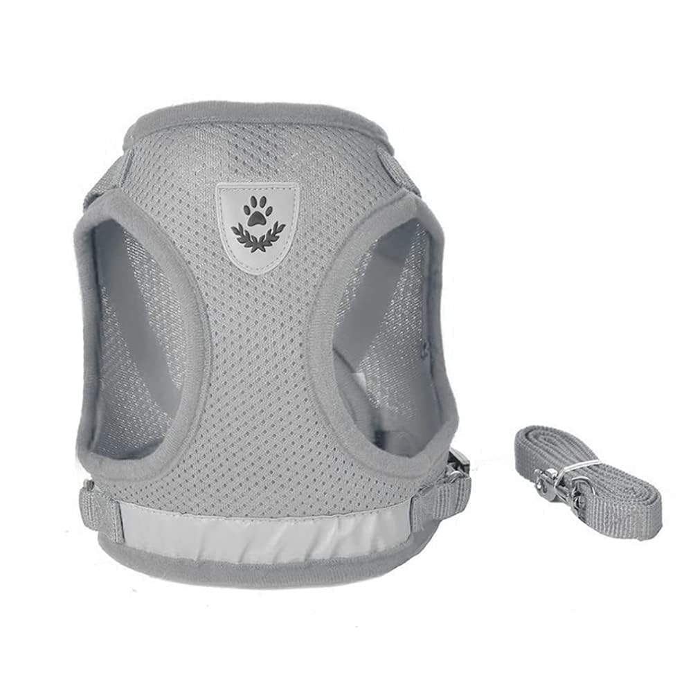 FEimaX breathable mesh front keeps dogs cool on walks.