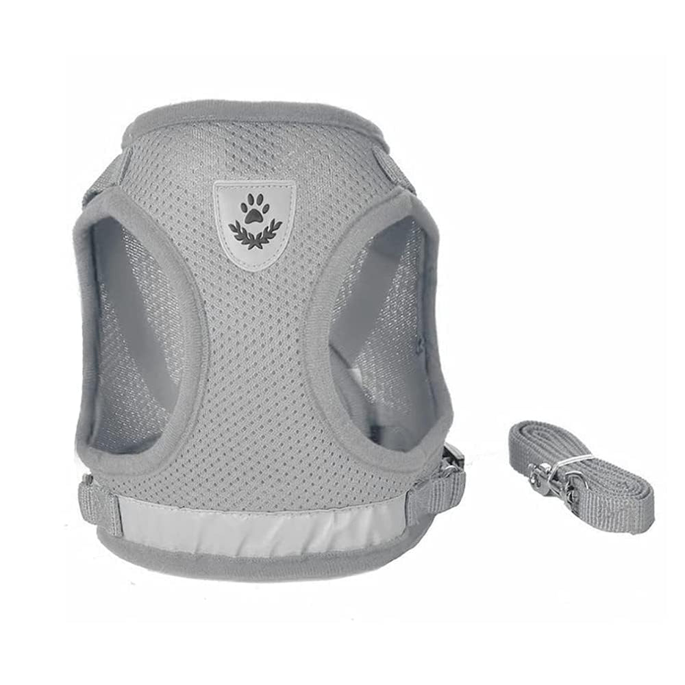 FEimaX breathable mesh front keeps dogs cool on walks.