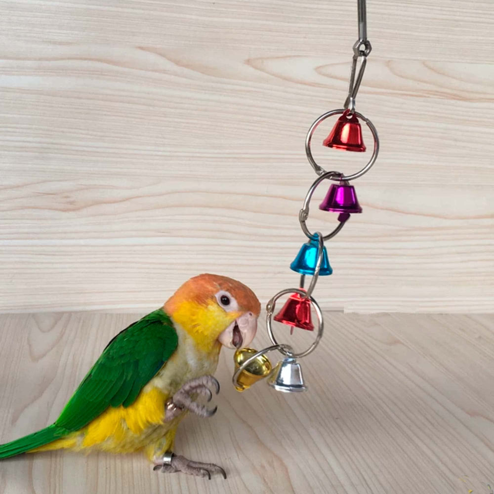 Fejapa bird bells toy bells serve as rewards for climbing and biting for enrichment.