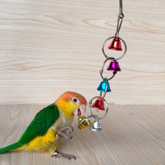 Fejapa bird bells toy bells serve as rewards for climbing and biting for enrichment.