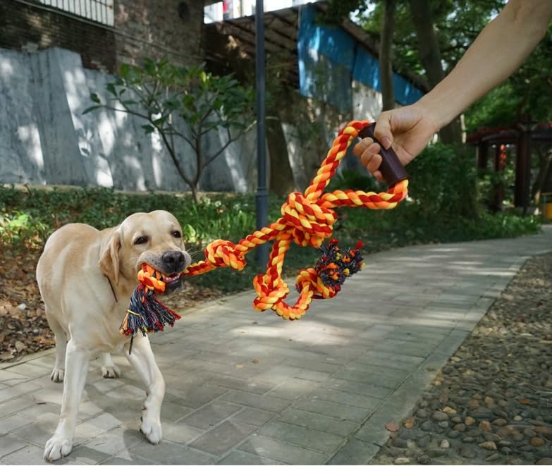Fejapa rope toy offering dental-like chew action and gum massage benefits