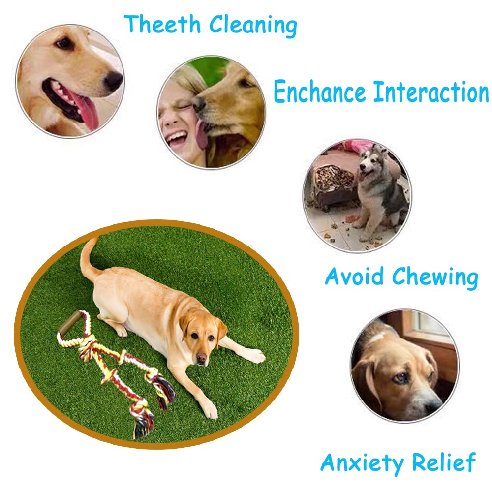 Fejapa rope toy may support dental hygiene and gum massage through chewing.