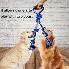Fejapa dual rope branches design supports simultaneous tug of war between two dogs