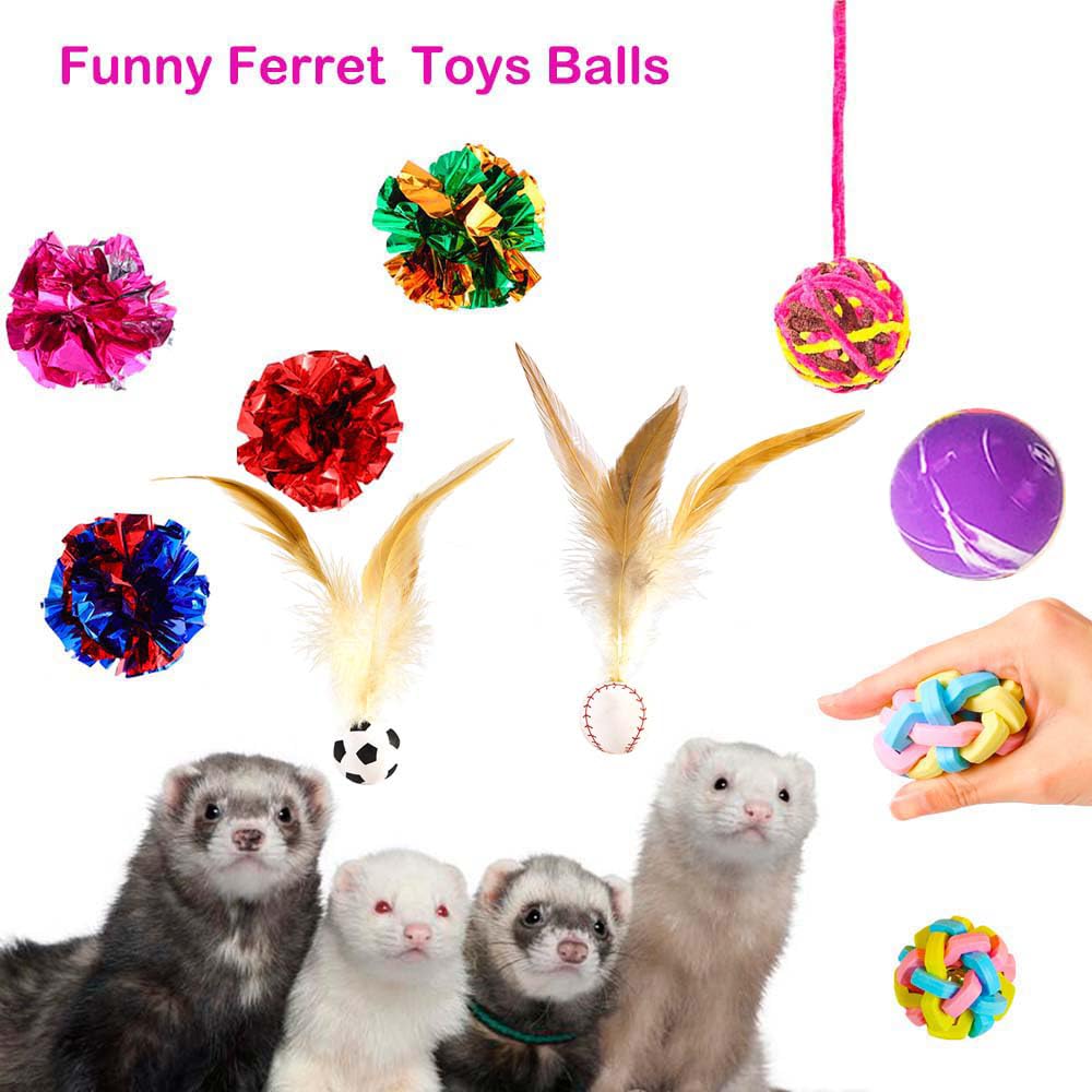 Fejapa ferret-bouncing-small-ball demonstrates bounce-friendly design for indoor chase sessions.