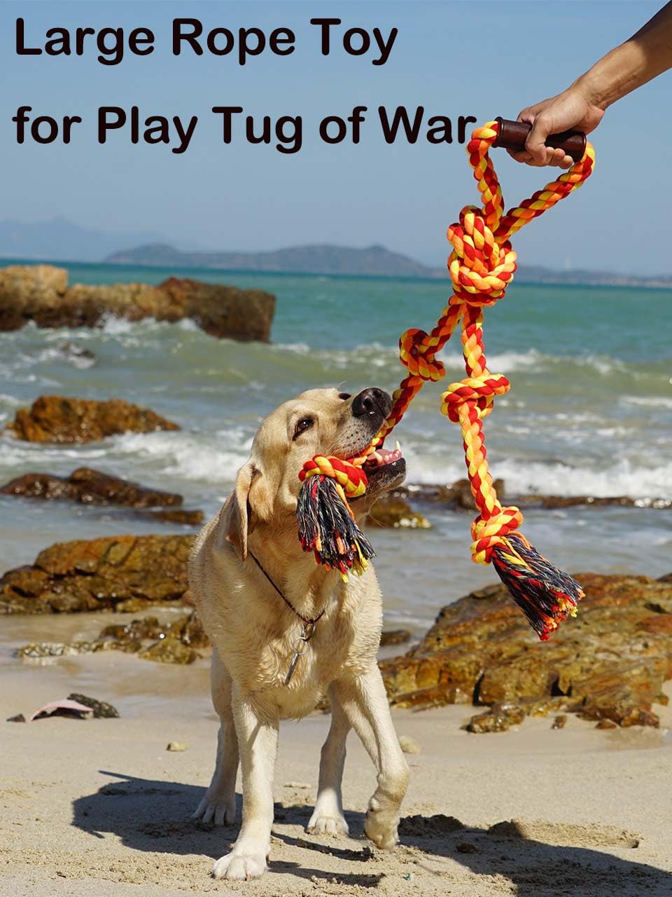Fejapa pitbull tug toy outdoors shows heavy-duty performance