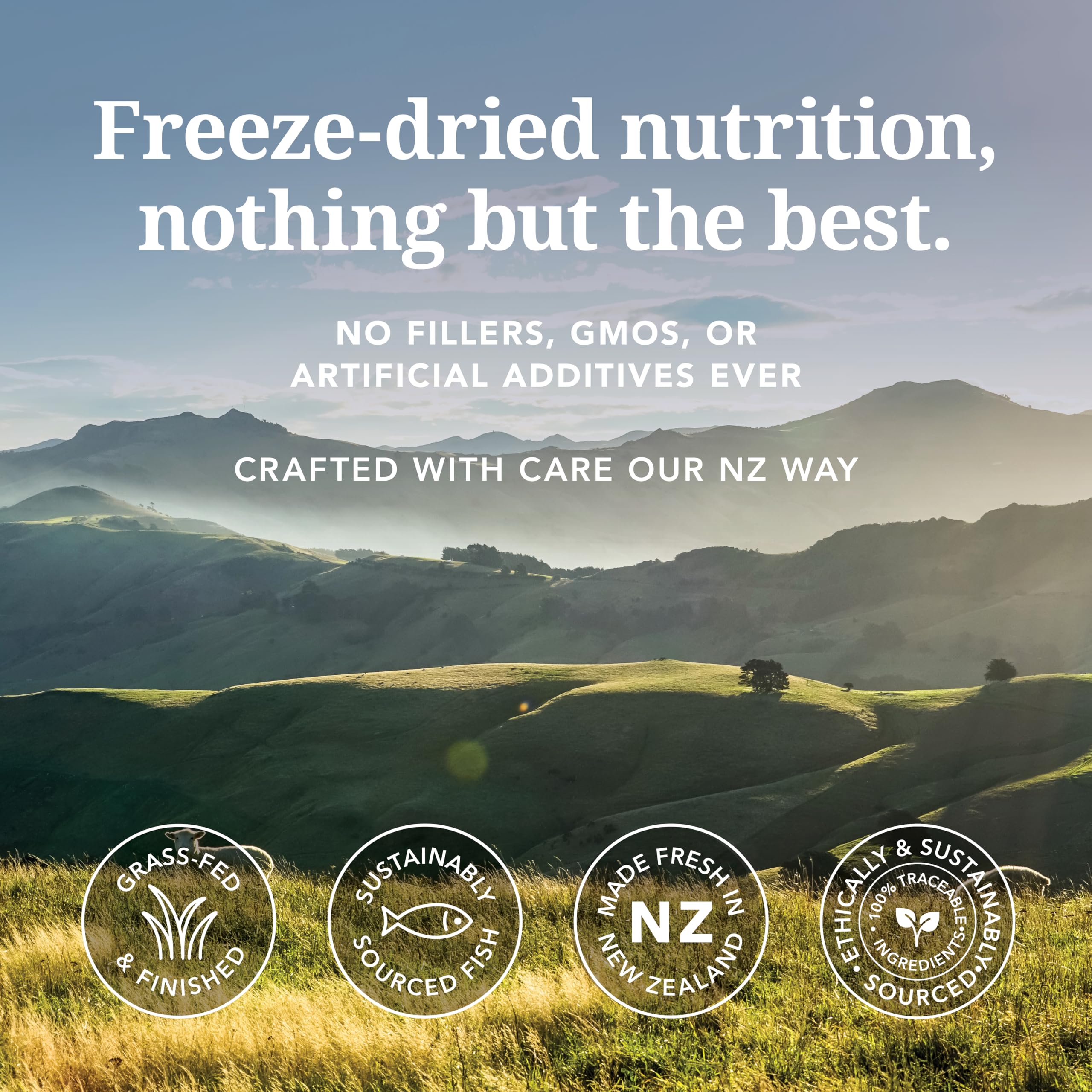 Feline Natural freeze-dried diet with lamb shown in a clean kitchen scene.