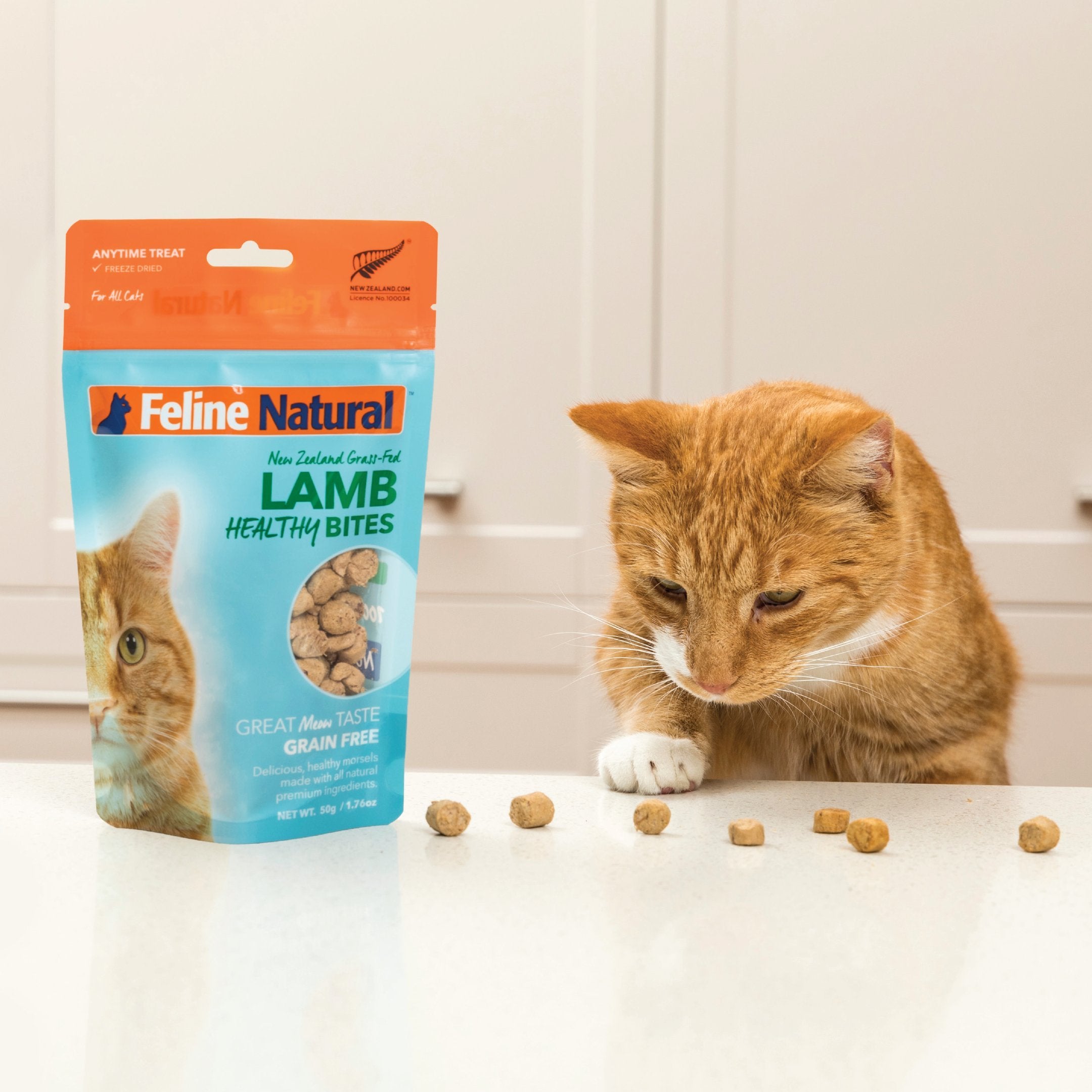 Feline Natural freeze-dried texture close-up showing crisp bites