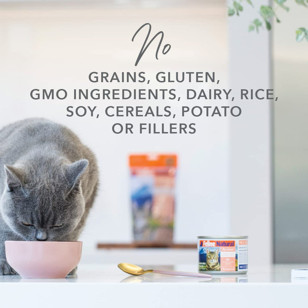 Feline Natural Beef Feast suitable for kittens and adult cats as a versatile meal