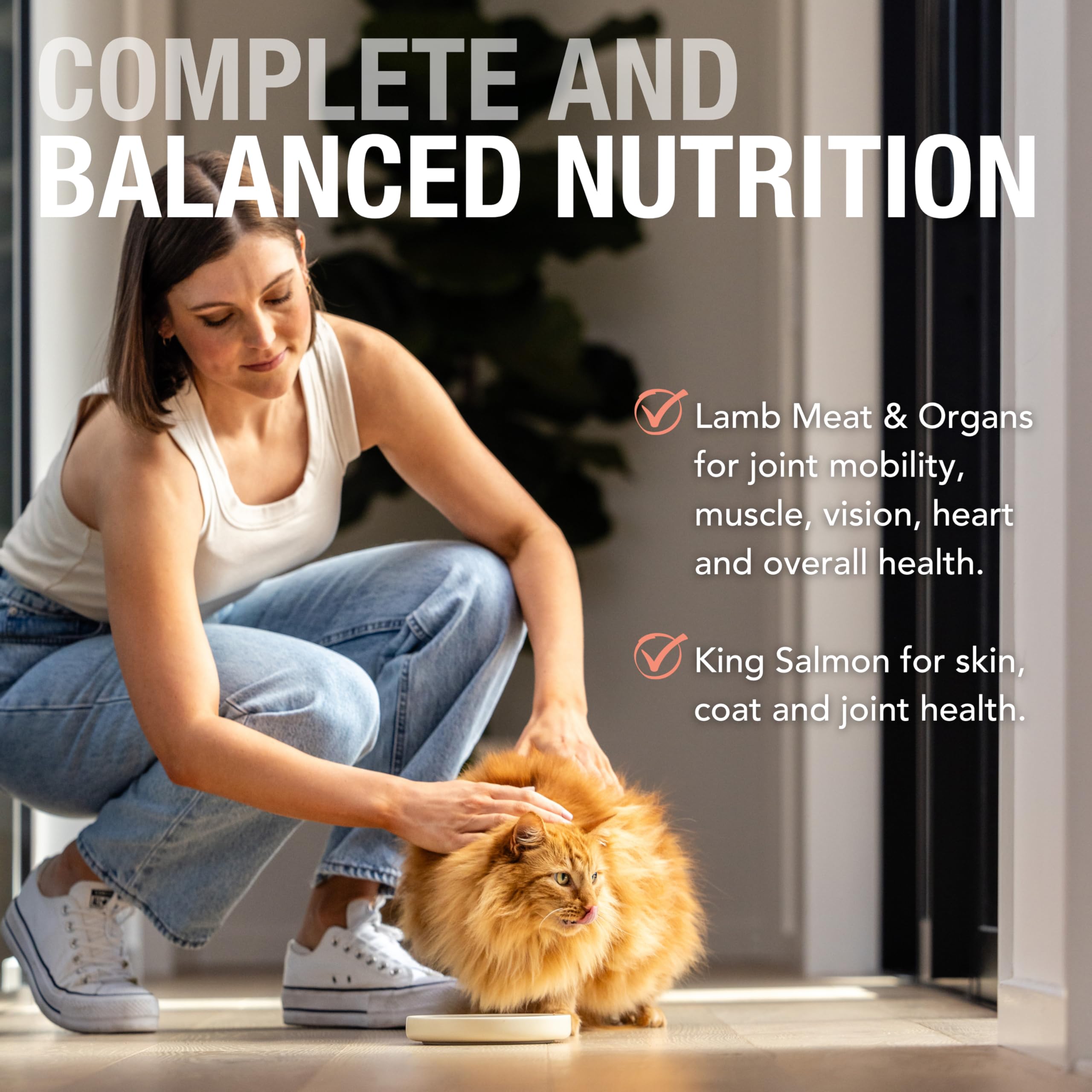 Lamb and salmon ingredients highlight real meat benefits in Feline Natural food.