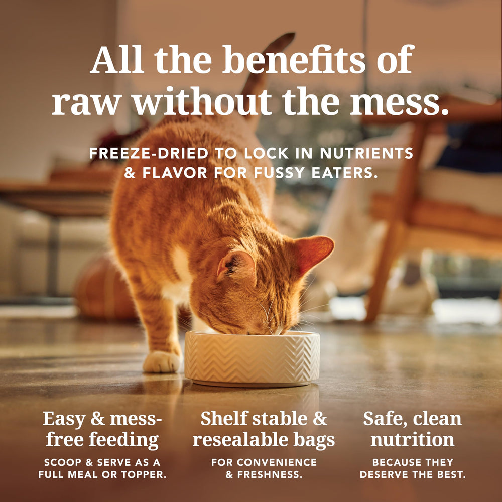 Feline Natural highlights New Zealand-sourced lamb and hoki.