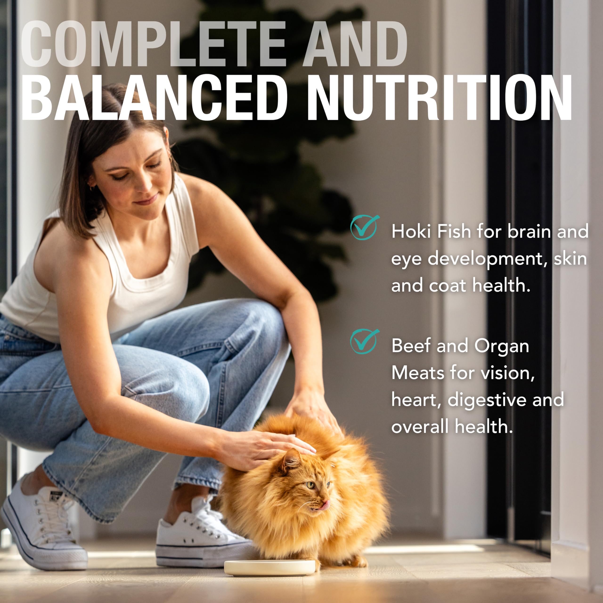 Feline Natural pate serving showing soft texture for easy eating.