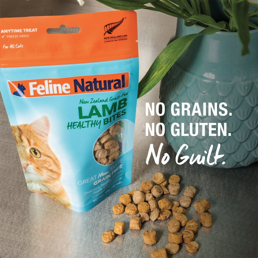 Feline Natural single-source chicken close-up, highlighting pure real-meat quality