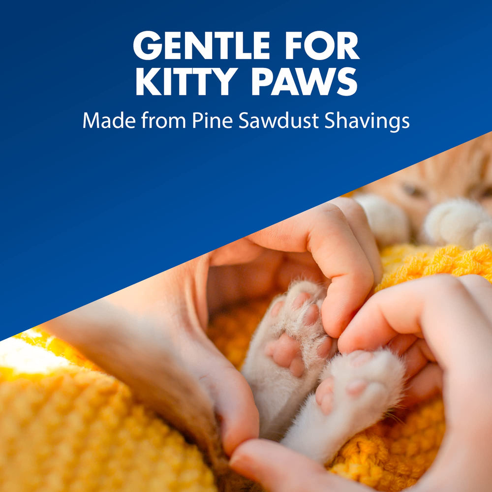 Feline Pine Cat-Using Litter image captures a clean box experience for pets.