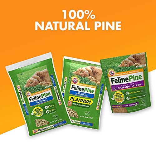 Feline Pine Clean Bathroom Odor image conveys a fresher home environment.