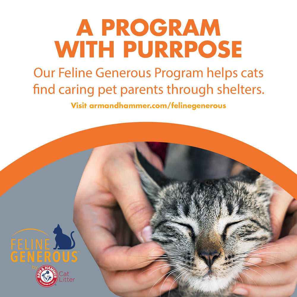 Feline Pine Dust-Free Formula image suggests improved air quality around the box.