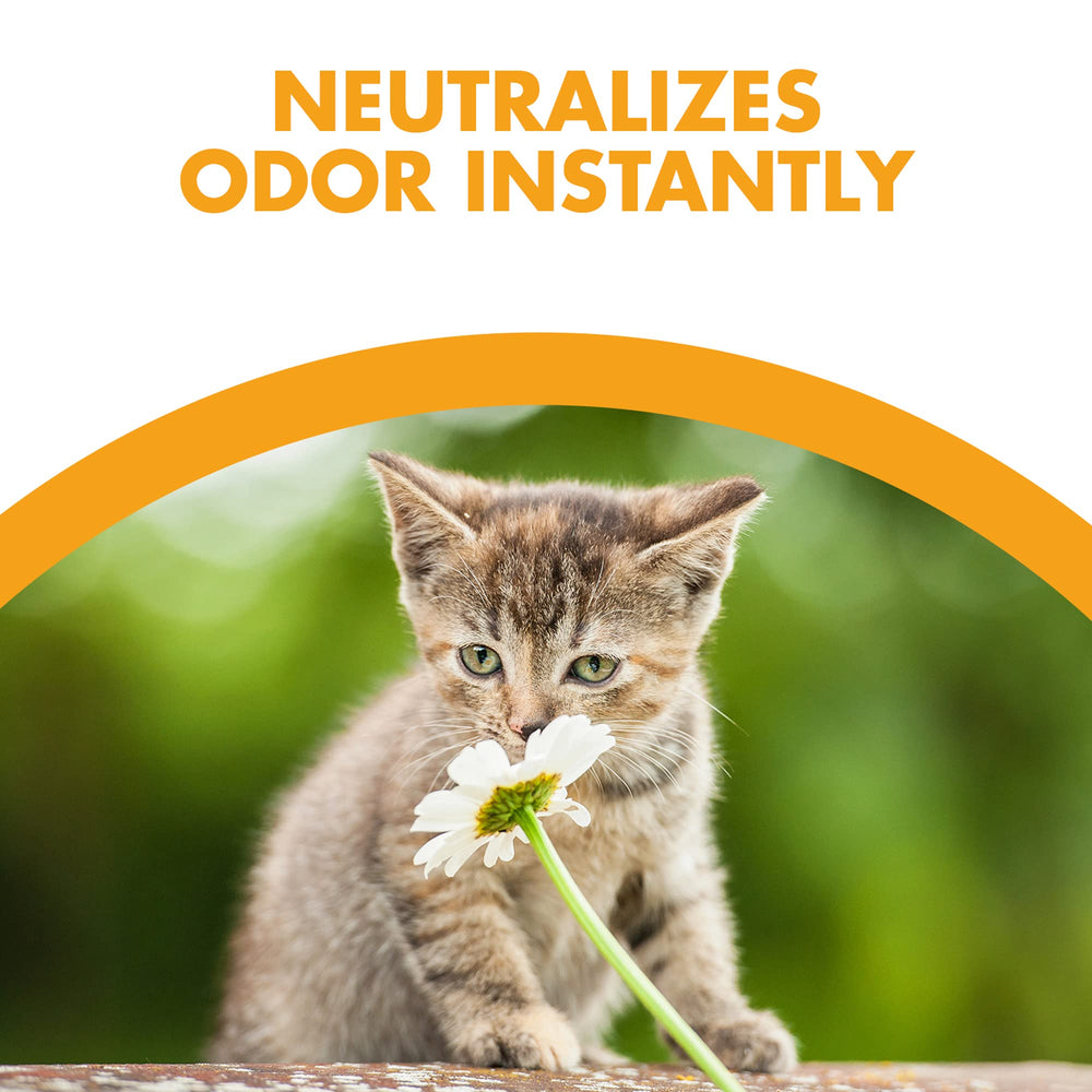 Feline Pine Sawdust Paw-Friendly texture demonstrates gentle footing for paws and less mess.