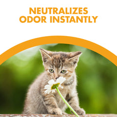 Feline Pine Sawdust Paw-Friendly texture demonstrates gentle footing for paws and less mess.