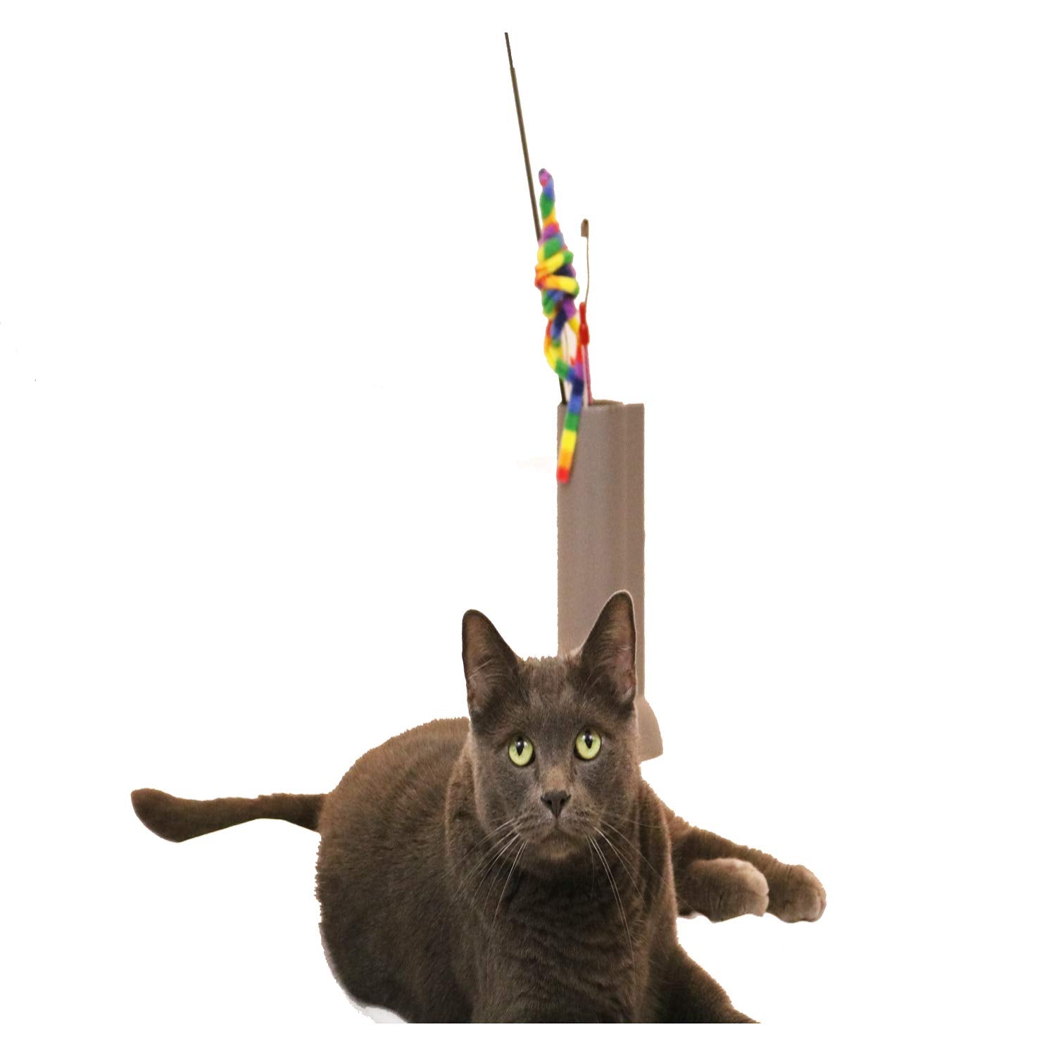 Feline Ruff gray minimalist design complements cat play areas.