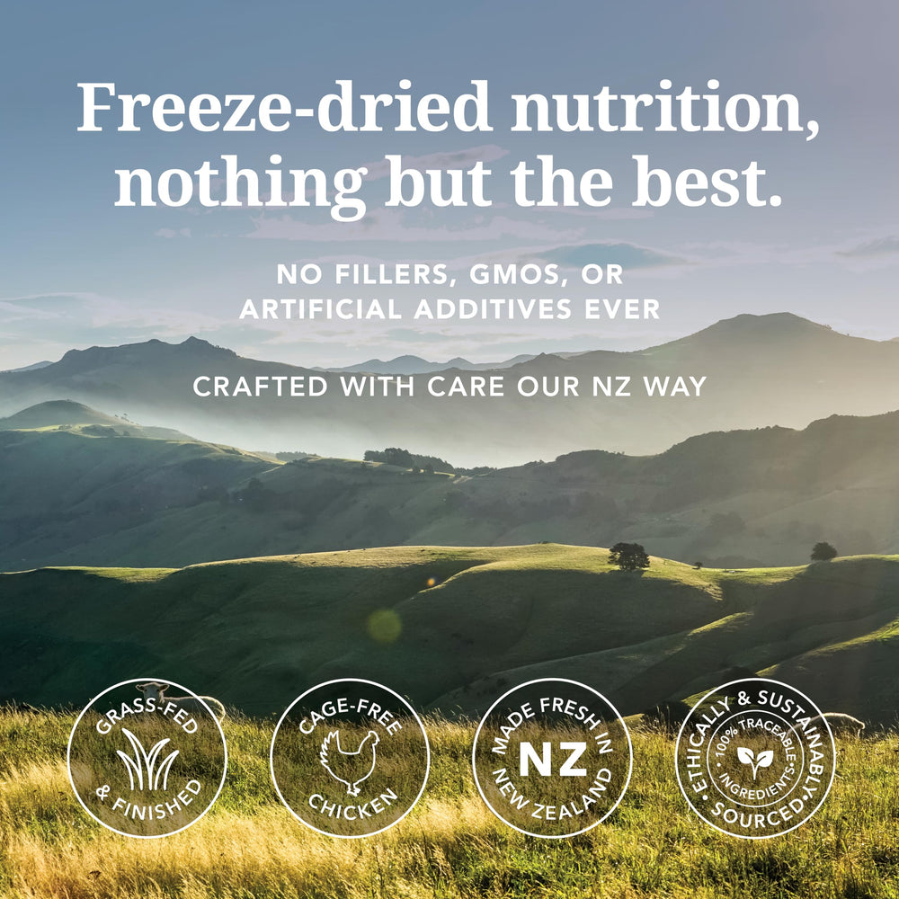Feline Natural grain-free kibble image highlights absence of grains in recipe