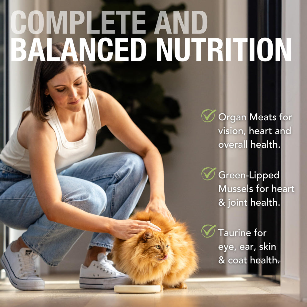 Feline Natural New Zealand canned cat food texture closeup highlights smooth pâté suitable for picky eaters.