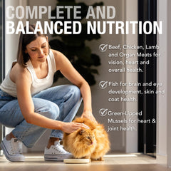Chicken-Lamb pouch from Feline Natural Variety Pack promoting protein-rich meals.