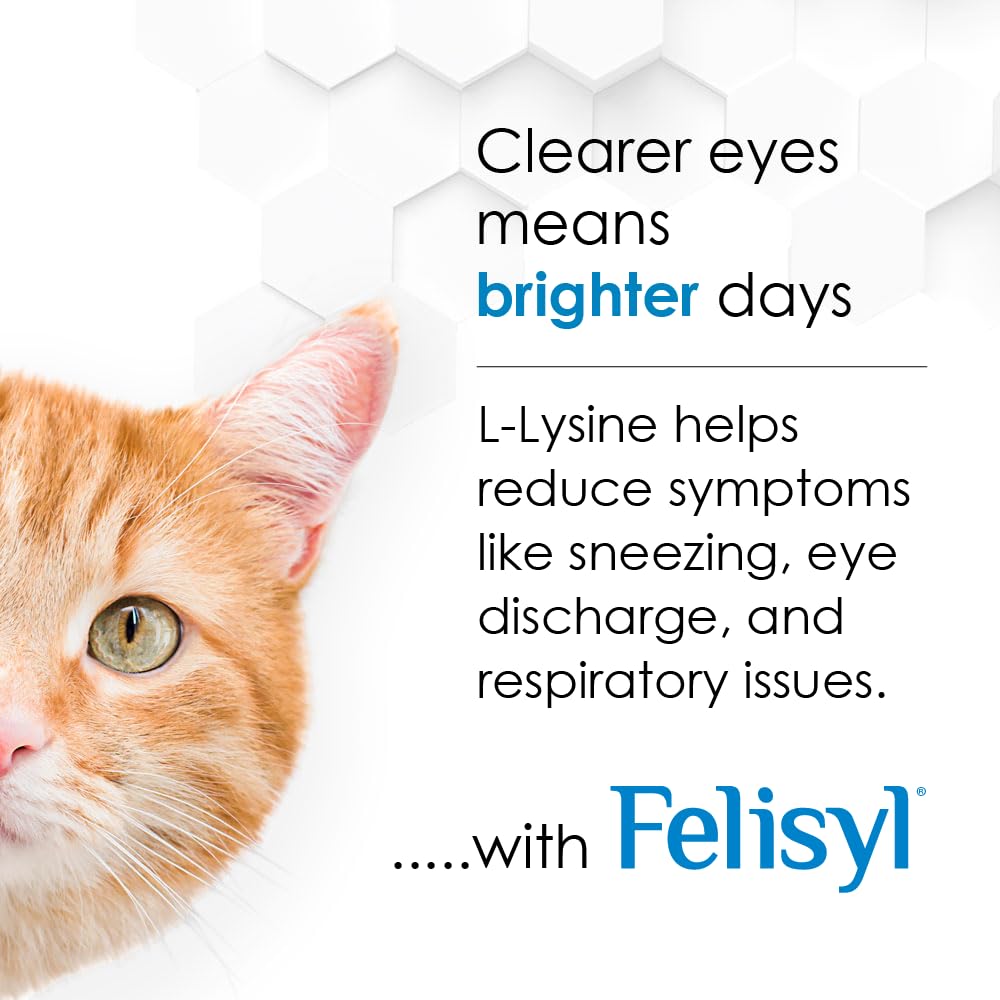 Pet Health Solutions Felisyl L-Lysine Granules eye and respiratory health illustration