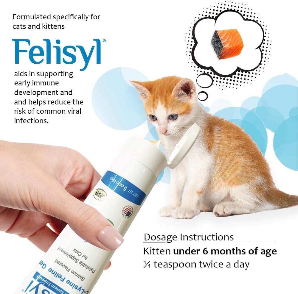 Felisyl immune-support graphic illustrating potential resilience benefits.