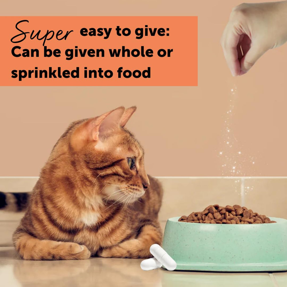 Feliway Classic and Cystease combo visual suggests complementary approach