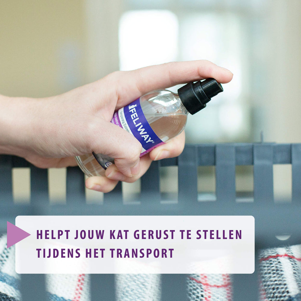 FELIWAY Classic spray on a blanket to reassure anxious cats.