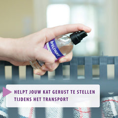 FELIWAY Classic spray on a blanket to reassure anxious cats.