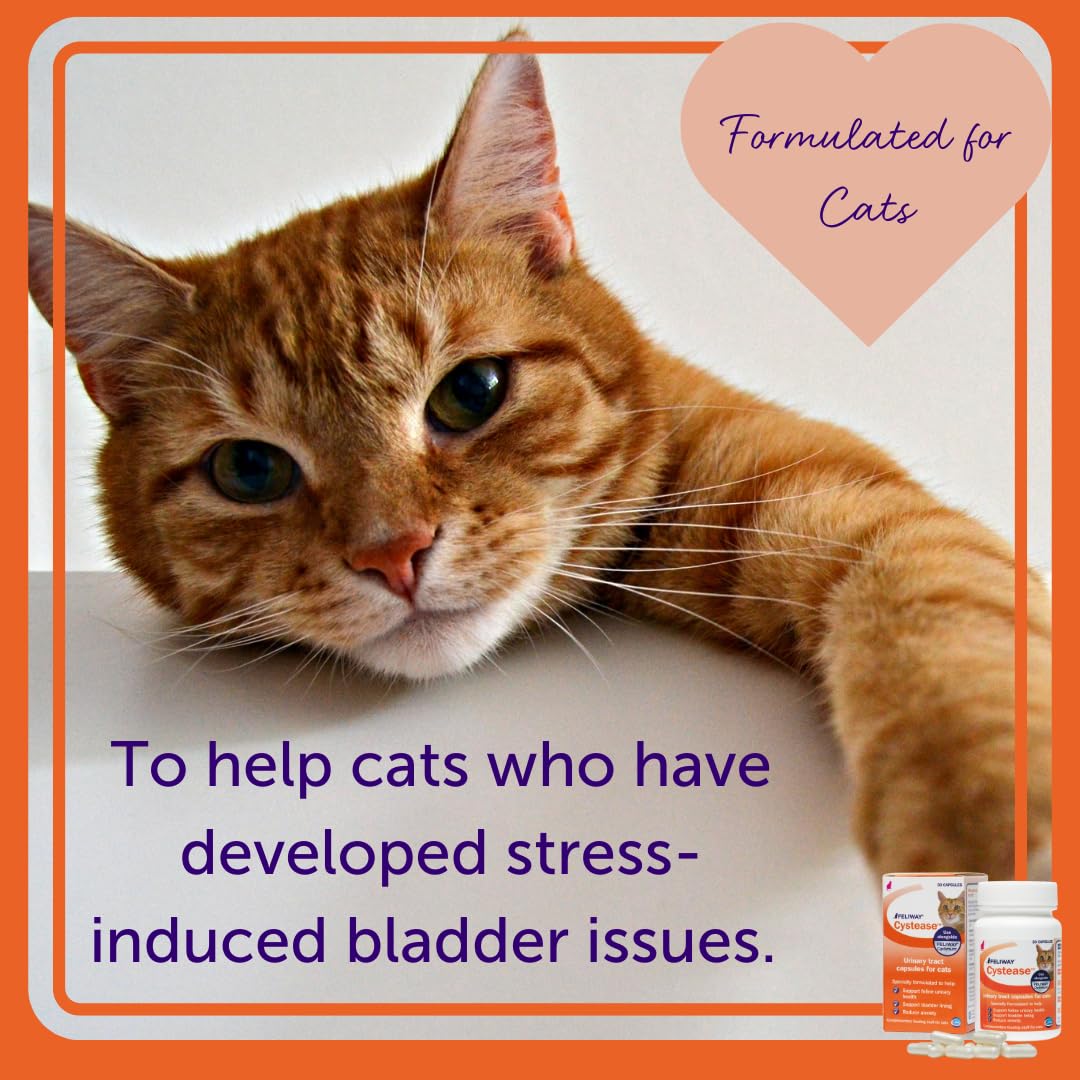 Feliway Cystease 30 tablets pack for ongoing urinary support