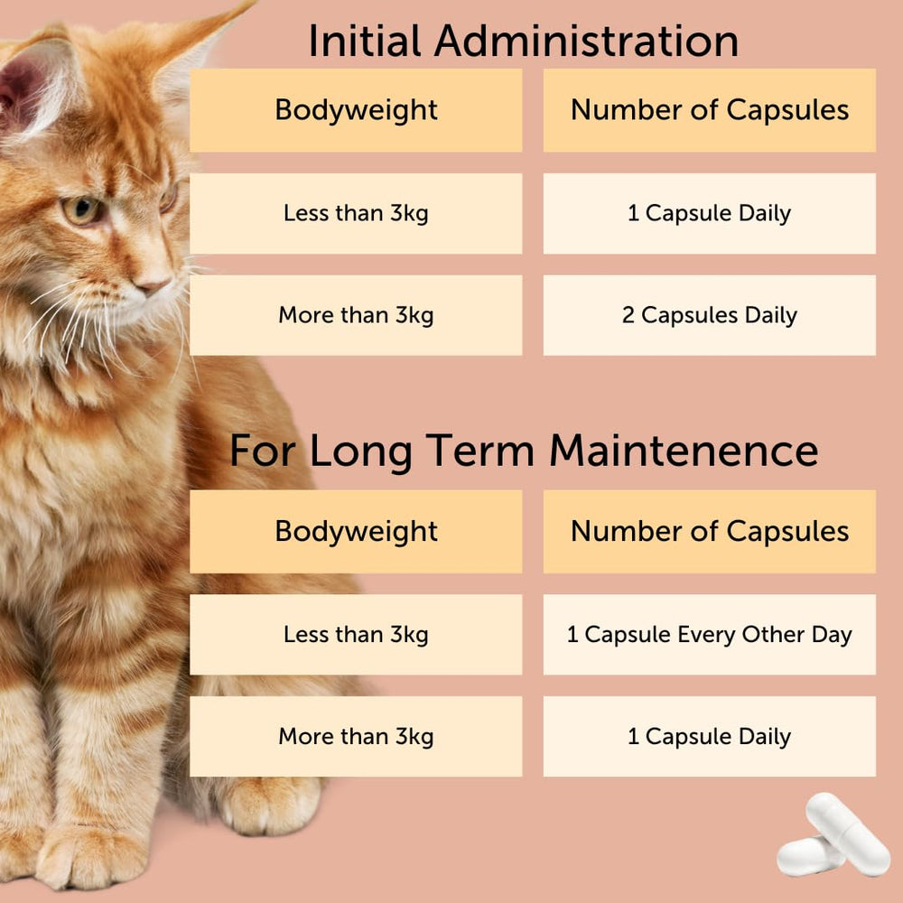 Feliway Cystease sprinkle capsules closeup for easy administration
