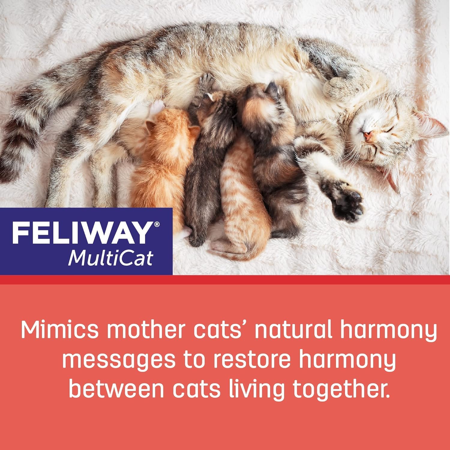 FELIWAY Multicat Diffuser Refill room scene showing peaceful cats during family time