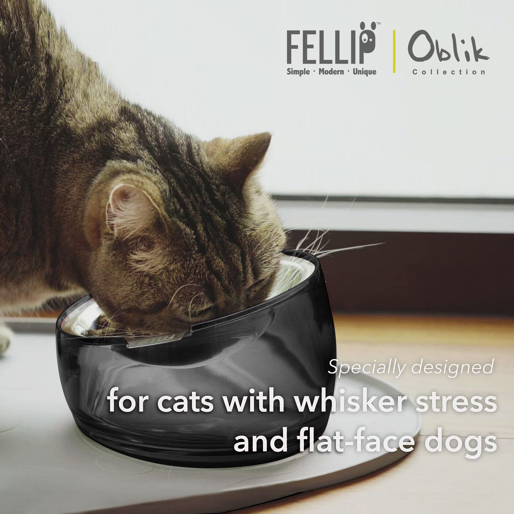 Felli Oblik 304 stainless steel dish for hygienic, odor-free feeding