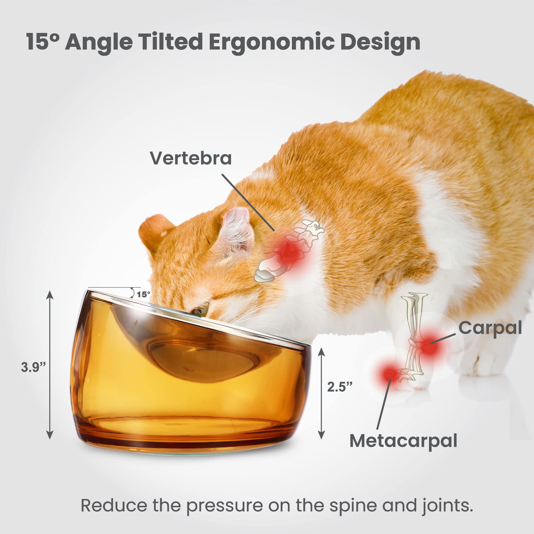 Felli Oblik gold finish adds stylish flair to the feeding area