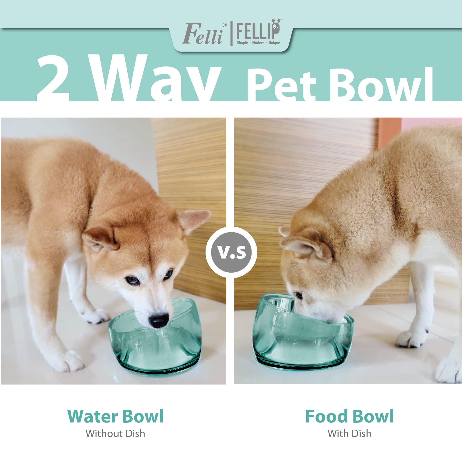 Felli Oblik gift-ready design appeals to pet parents