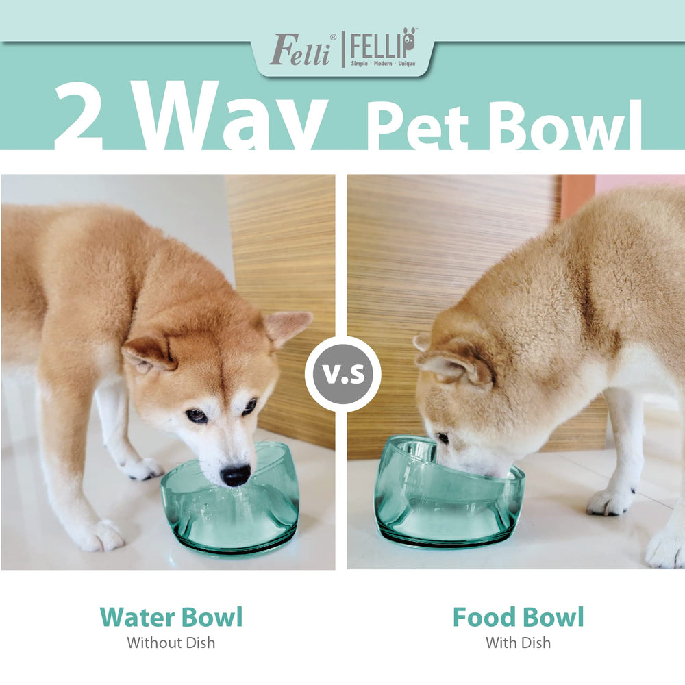 Felli Oblik gift-ready design appeals to pet parents