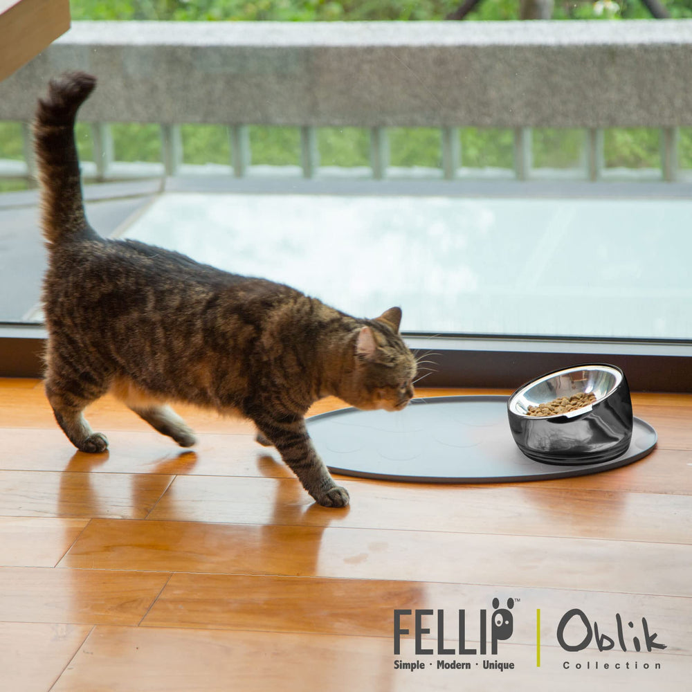 Felli Oblik two-way food and water bowl offers versatile feeding options