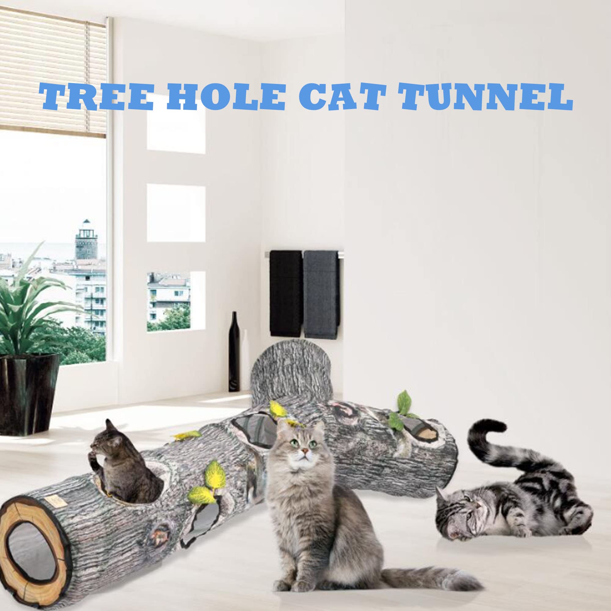 FelRelWel cat tunnel setup in living room invites daily play.