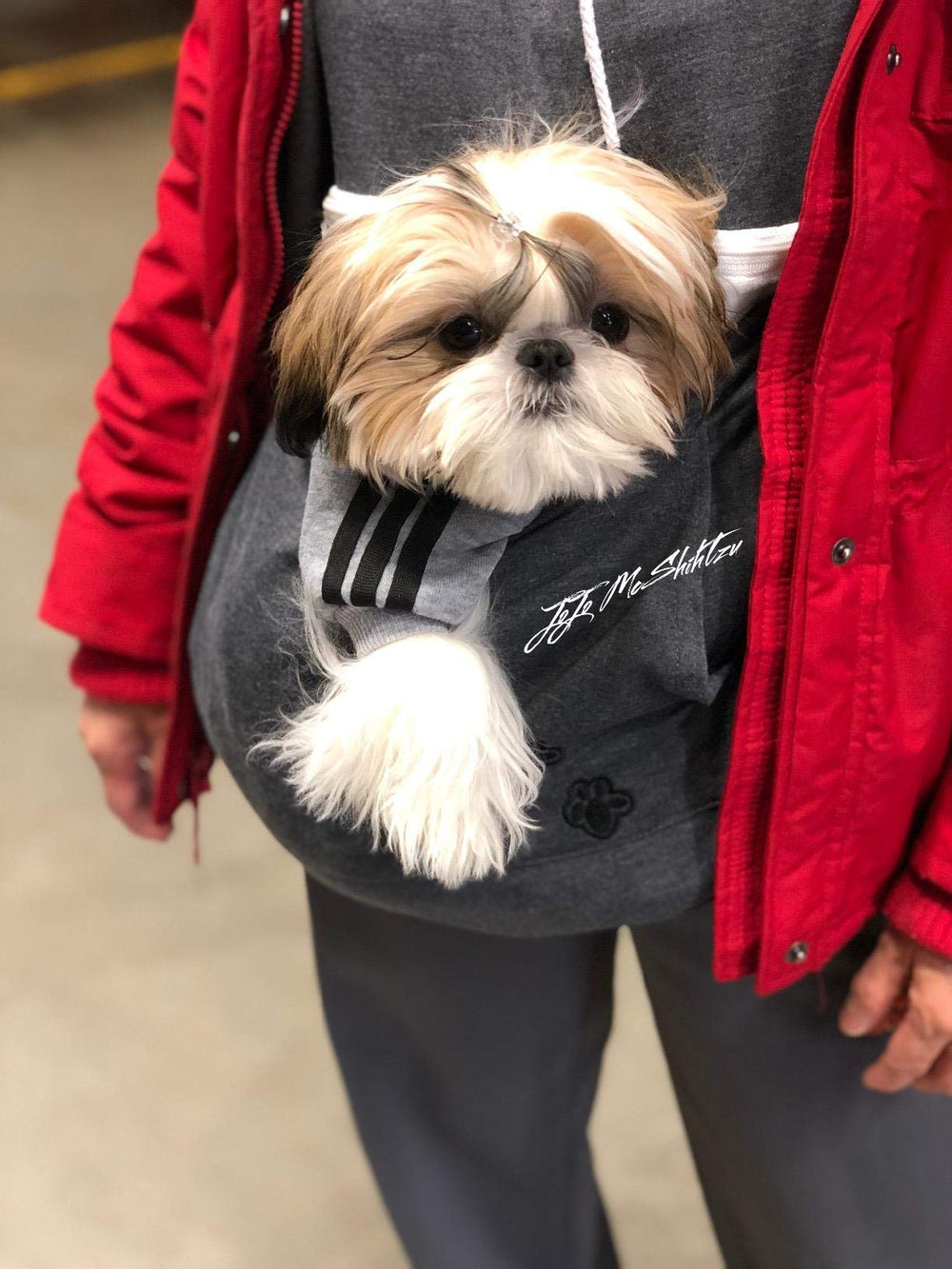 Felyong hoodie ears design close-up adds playful pet-friendly style.