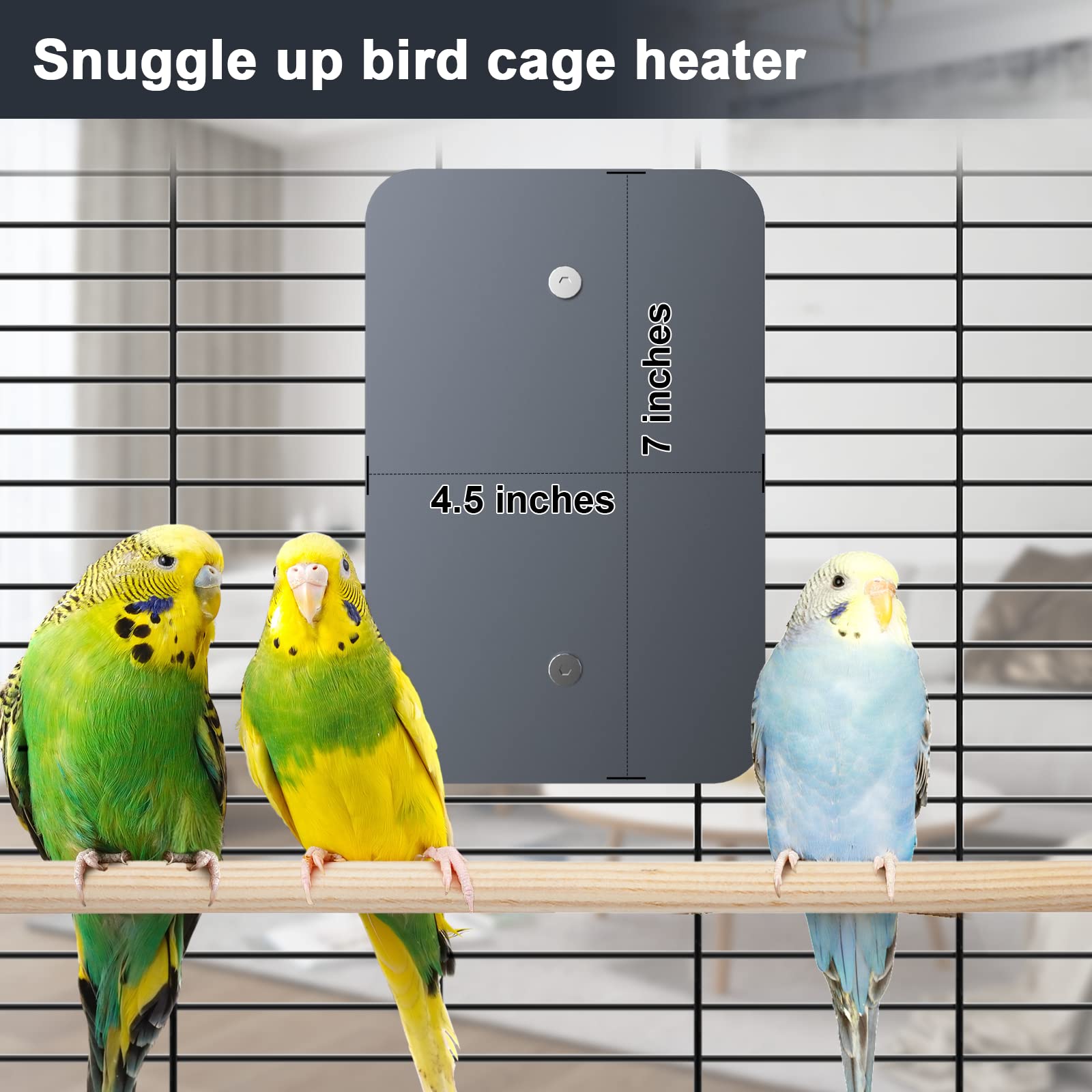 Fenocran Indoor Bird Heater Pad on perch demonstrates steady warmth ideal for winter comfort.