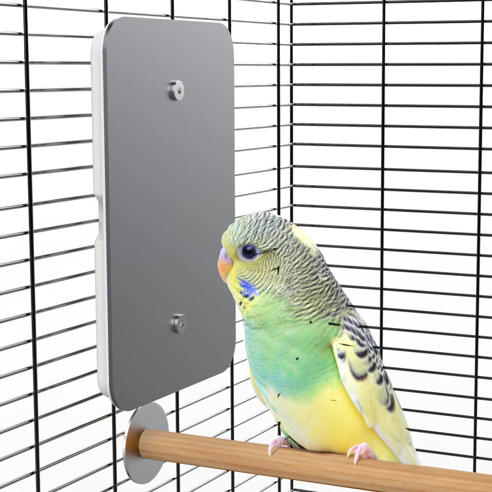 Fenocran Indoor Bird Heater Pad perched setup warms your bird's favorite perch for cozy moments.