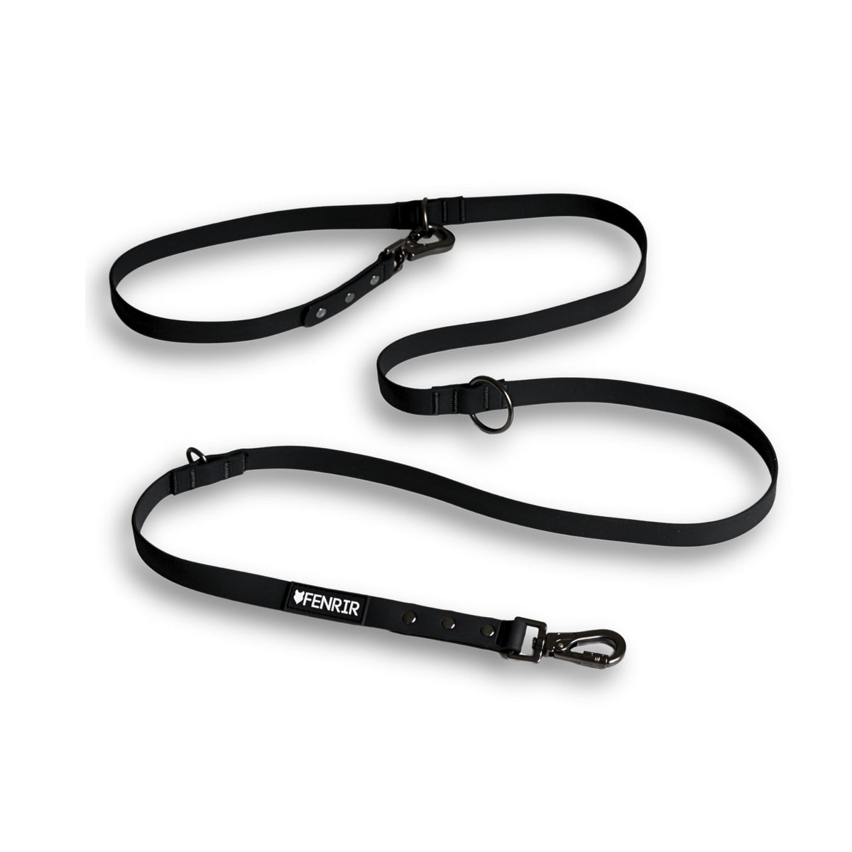Fenrir dog training leash overview highlighting versatility for recall and controlled walks