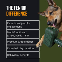 Fenrir Hammer fetch-tug design supports active bonding and exercise through games of fetch.