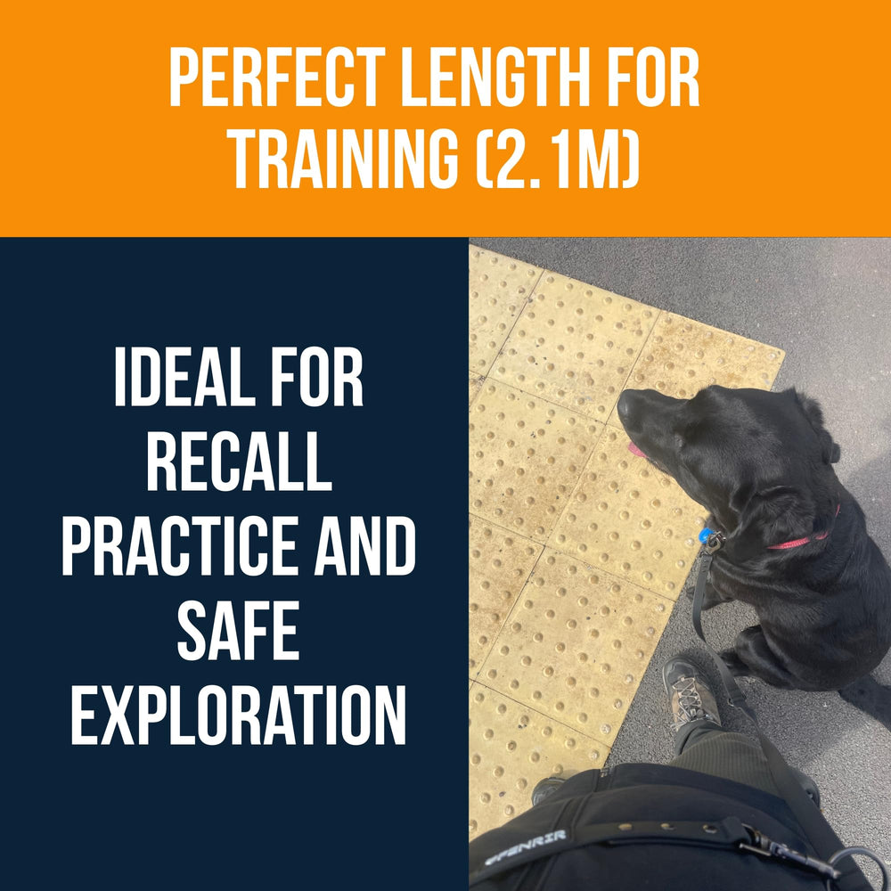 Fenrir length 2.1m training leash demonstrating balanced freedom and control