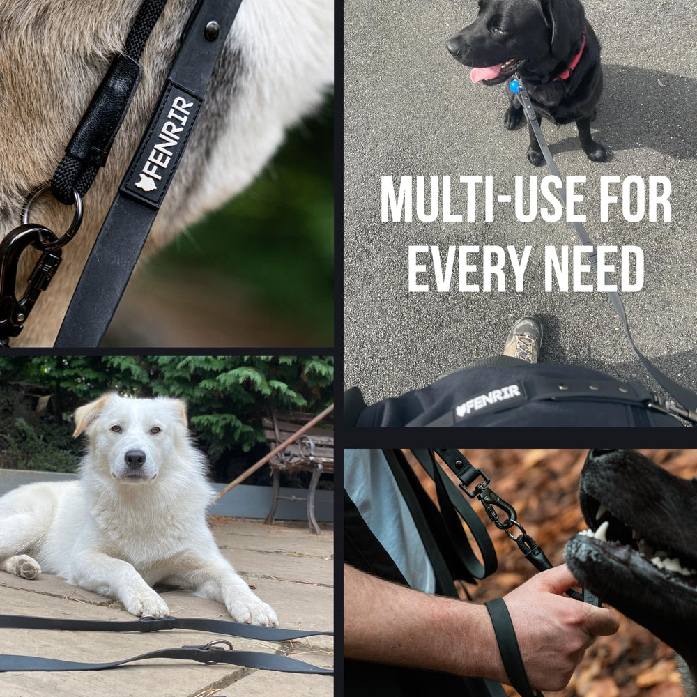 Fenrir six-configurations training leash shows multiple setup options for flexible dog training