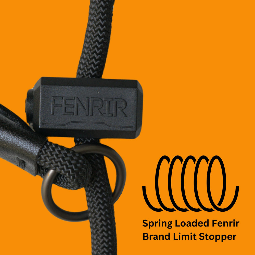 Fenrir slip collar training setup demonstrates easy on/off during sessions.