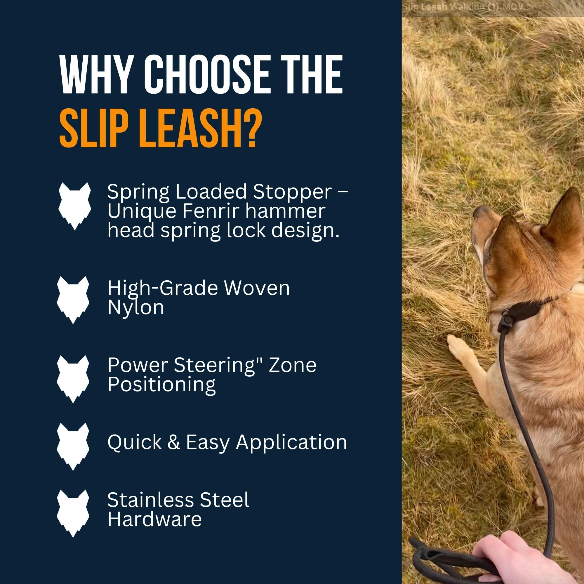 Fenrir Slip Leash nylon rope closeup illustrating strong yet soft material